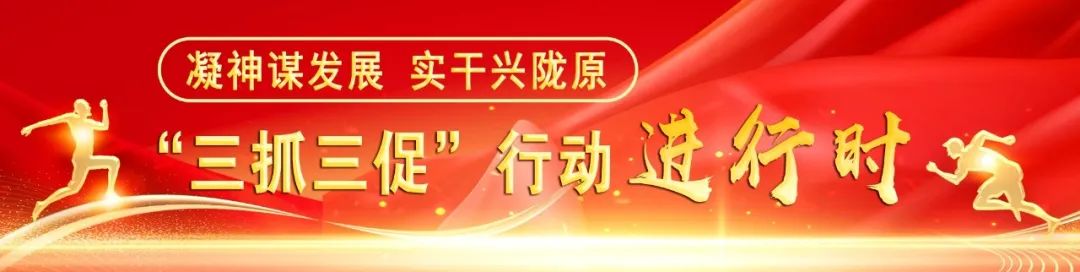 通安驿镇：新栽菊花三千亩 尽看东篱万朵金