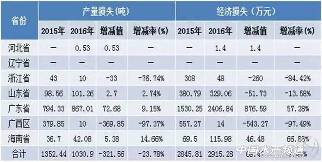 对虾养殖现状_对虾养殖技术数据_养殖对虾数据技术有哪些