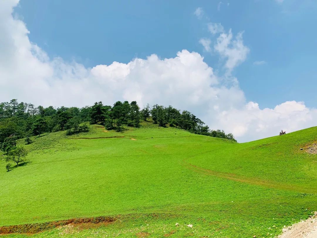 青山村：种植高山蔬菜 走出增收致富路