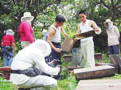 致富经农村种植_种植大户 致富_致富经种植亩收入过亿