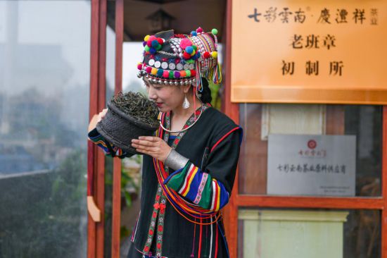 茶叶致富经_种植茶叶赚钱吗_种植什么茶致富