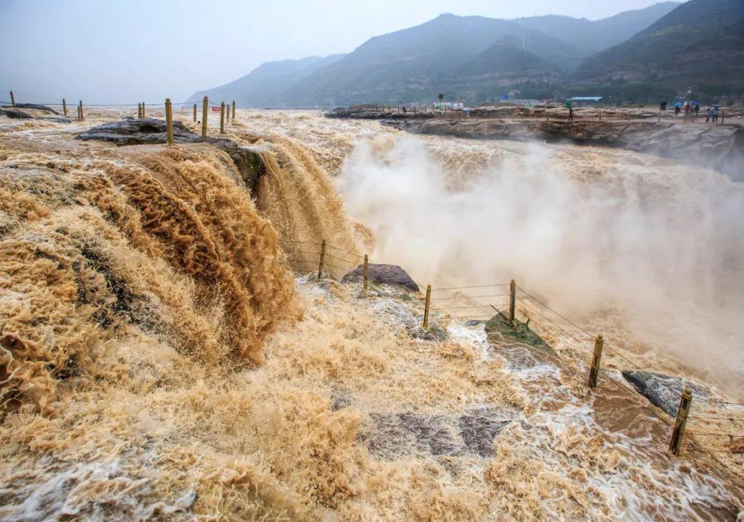 蝎子养殖户_榆林蝎子养殖基地_榆林有没有蝎子养殖技术