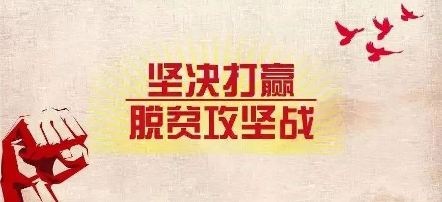 白鹅养殖技术从书_养白鹅怎么养_白鹅养殖技术视频