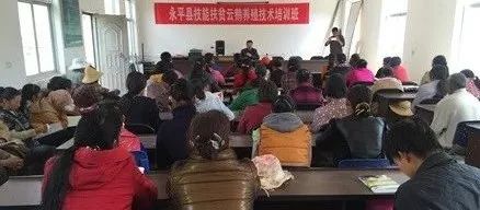 白鹅养殖技术视频_养白鹅怎么养_白鹅养殖技术从书