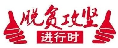 白鹅养殖技术从书_养白鹅怎么养_白鹅养殖技术视频