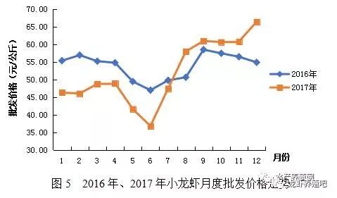 龙虾养殖业技术规程_龙虾养殖新技术模式_龙虾养殖业技术