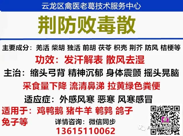 鹅的 39 养殖技术_鹅养殖技术教材_鹅养殖技术视频