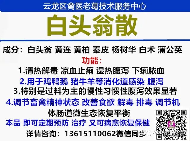 鹅养殖技术视频_鹅的 39 养殖技术_鹅养殖技术教材