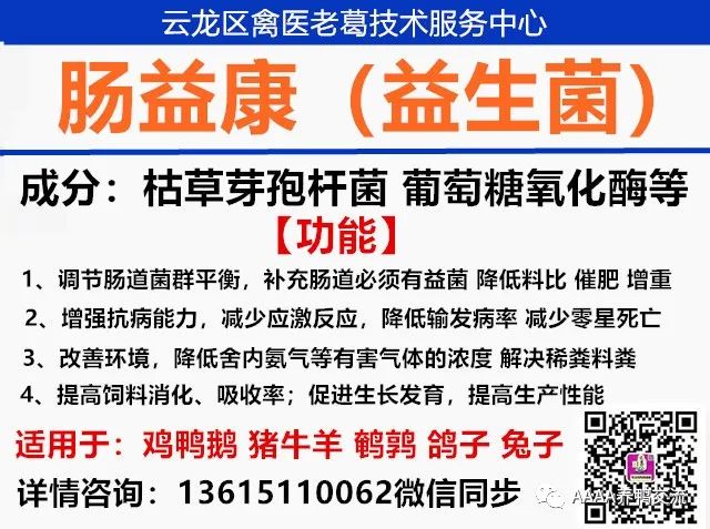 鹅的 39 养殖技术_鹅养殖技术教材_鹅养殖技术视频