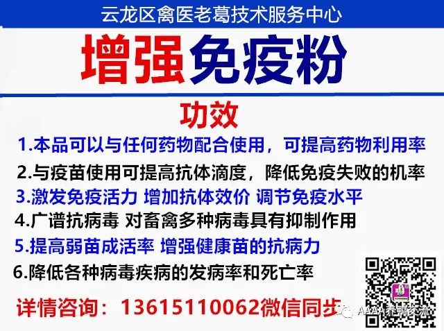 鹅养殖技术教材_鹅的 39 养殖技术_鹅养殖技术视频