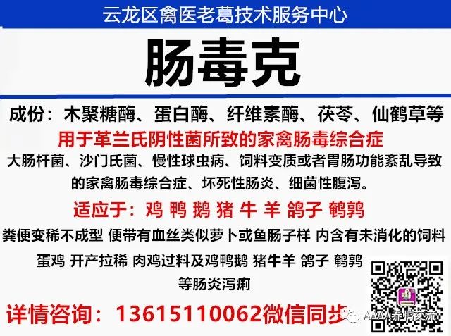 鹅养殖技术视频_鹅的 39 养殖技术_鹅养殖技术教材