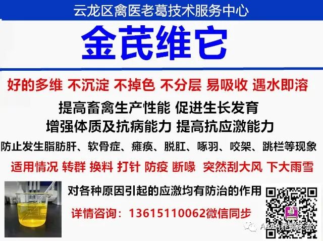 鹅养殖技术教材_鹅养殖技术视频_鹅的 39 养殖技术