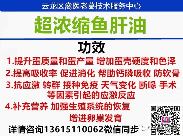 鹅的 39 养殖技术_鹅养殖技术教材_鹅养殖技术视频