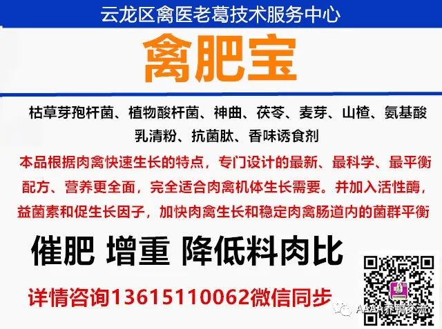 鹅养殖技术视频_鹅的 39 养殖技术_鹅养殖技术教材