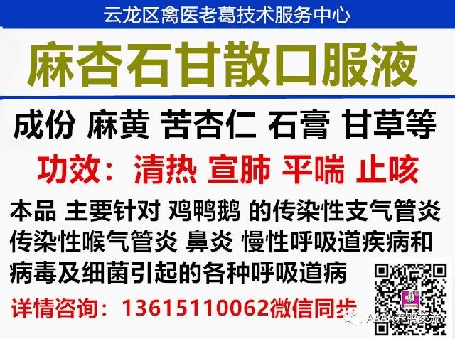 鹅养殖技术视频_鹅的 39 养殖技术_鹅养殖技术教材