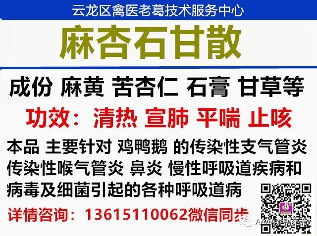 鹅的 39 养殖技术_鹅养殖技术视频_鹅养殖技术教材