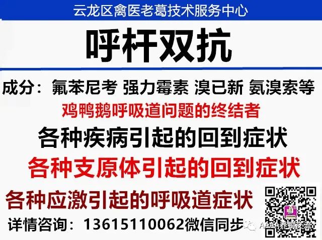 鹅养殖技术视频_鹅养殖技术教材_鹅的 39 养殖技术