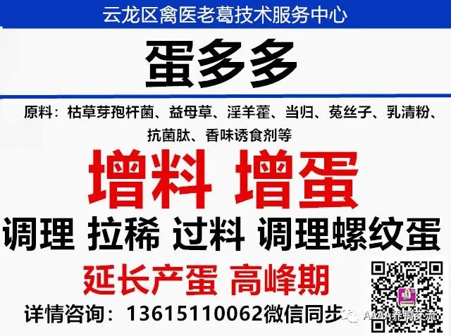 鹅的 39 养殖技术_鹅养殖技术视频_鹅养殖技术教材