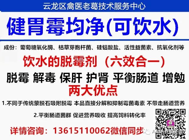 鹅养殖技术视频_鹅的 39 养殖技术_鹅养殖技术教材