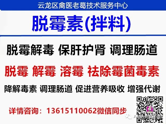 鹅养殖技术教材_鹅养殖技术视频_鹅的 39 养殖技术