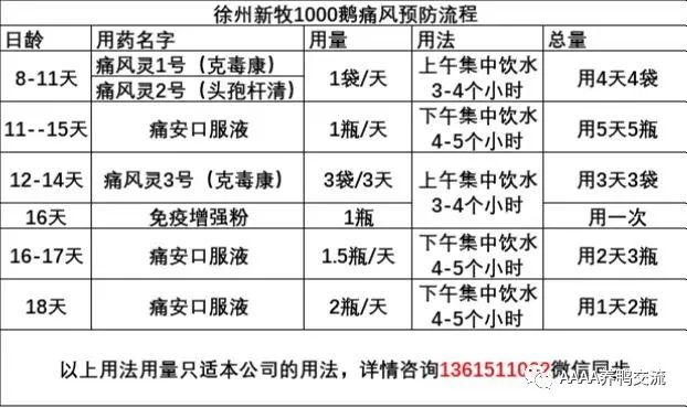 鹅养殖技术视频_鹅养殖技术教材_鹅的 39 养殖技术