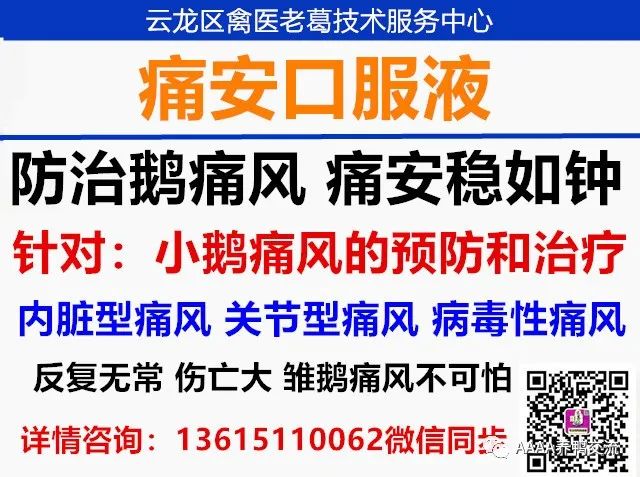 鹅养殖技术视频_鹅的 39 养殖技术_鹅养殖技术教材