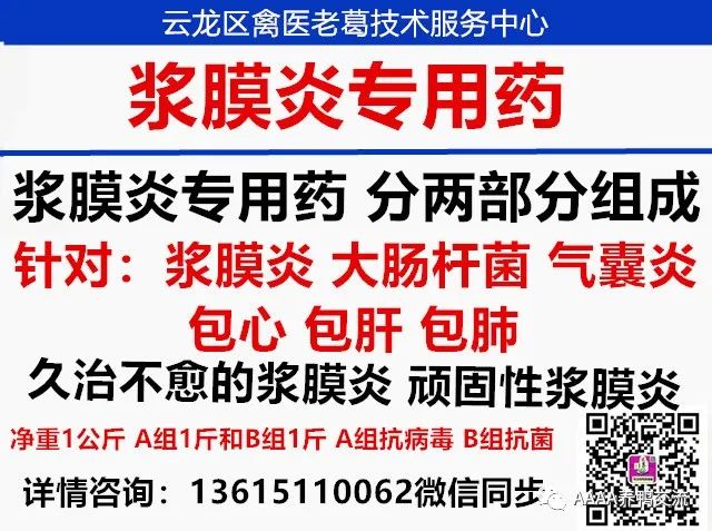 鹅养殖技术教材_鹅养殖技术视频_鹅的 39 养殖技术