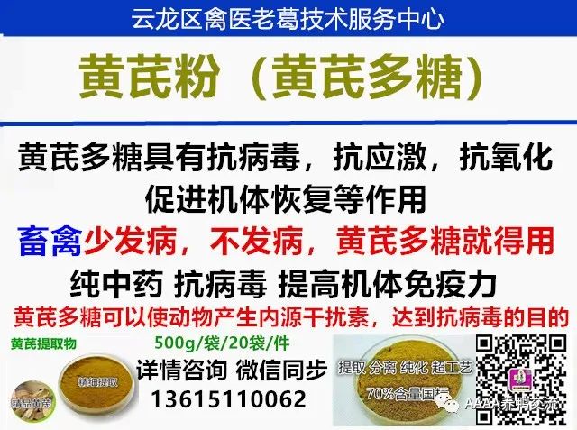 鹅的 39 养殖技术_鹅养殖技术视频_鹅养殖技术教材