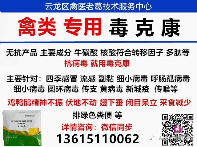 鹅的 39 养殖技术_鹅养殖技术教材_鹅养殖技术视频