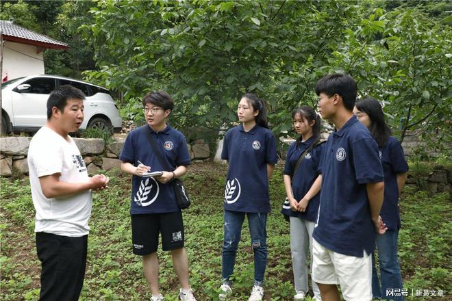 种植板栗效益如何_致富效益种植板栗视频_板栗种植效益致富