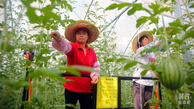 种植致富业_致富种植视频全集_靠特色种植致富