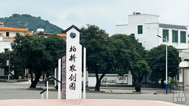 致富种植视频全集_种植致富业_靠特色种植致富