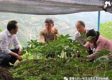 种植发家致富_种植发财致富_种植致富经