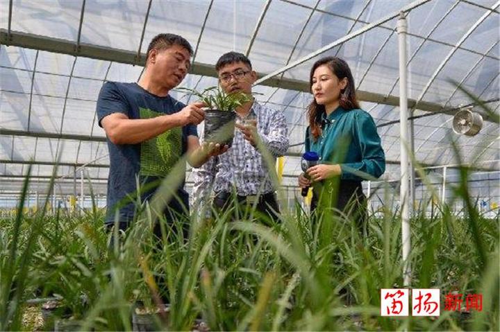 种花致富选什么品种_致富花木种植技术视频_种植花木致富