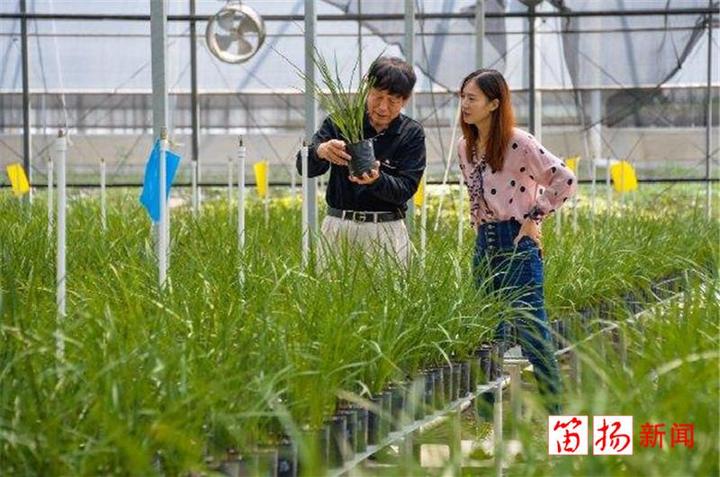 致富花木种植技术视频_种花致富选什么品种_种植花木致富