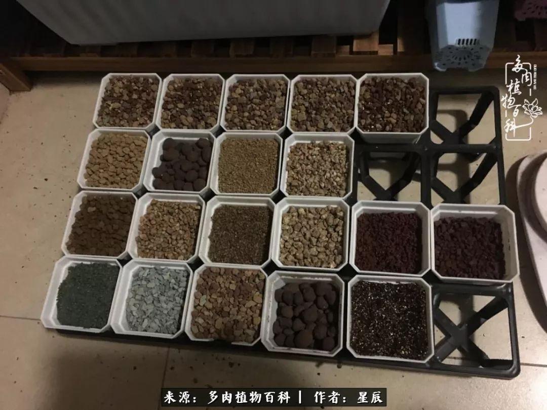 双层中蜂箱养殖技术视频_双层蜂箱的作用_双层蜂箱使用技术视频