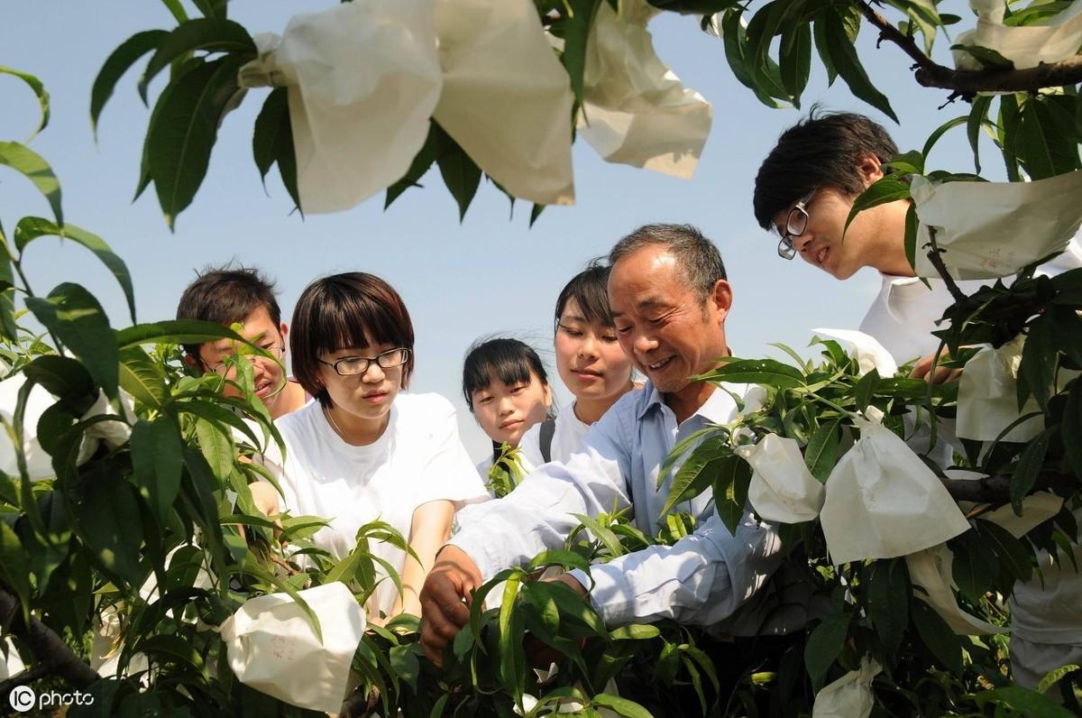 双层蜂箱的作用_双层中蜂箱养殖技术视频_双层蜂箱价格多少钱