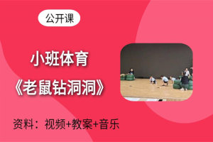 幼儿园小班体育游戏《老鼠钻洞洞》公开课视频含教案音乐