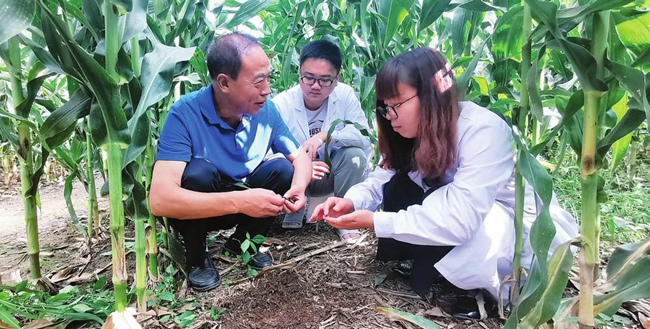 致富经秸秆变草带来的财富_秸秆变草致富经_农村秸秆的致富经视频