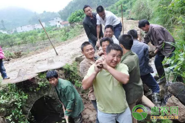 南丰县致富案例：村民富先修路-图片版权归惠农网所有