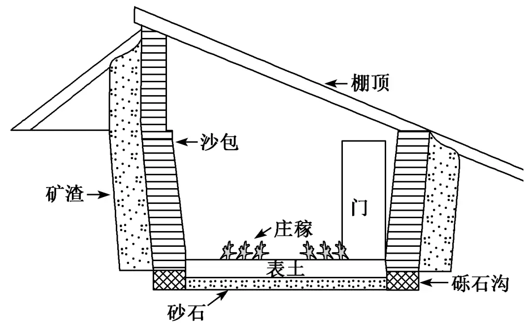 地理微专题 | 农业覆盖技术