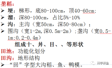 养殖鲫鱼工程技术方案_鲫鱼养殖成功案例_工程鲫鱼养殖技术