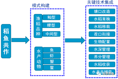 养殖鲫鱼工程技术方案_工程鲫鱼养殖技术_鲫鱼养殖成功案例