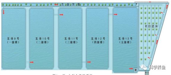 养殖鲫鱼工程技术方案_鲫鱼养殖成功案例_工程鲫鱼养殖技术