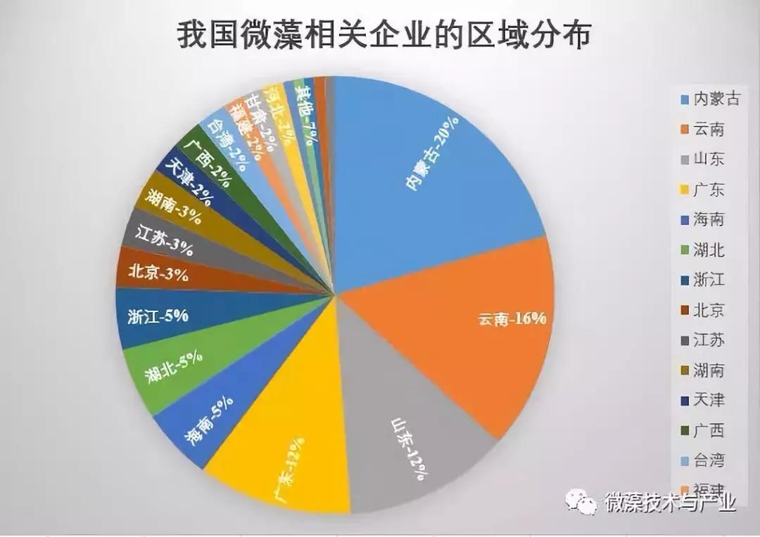 螺旋藻养殖技术_螺旋藻水产养殖_螺旋藻养殖基地图片