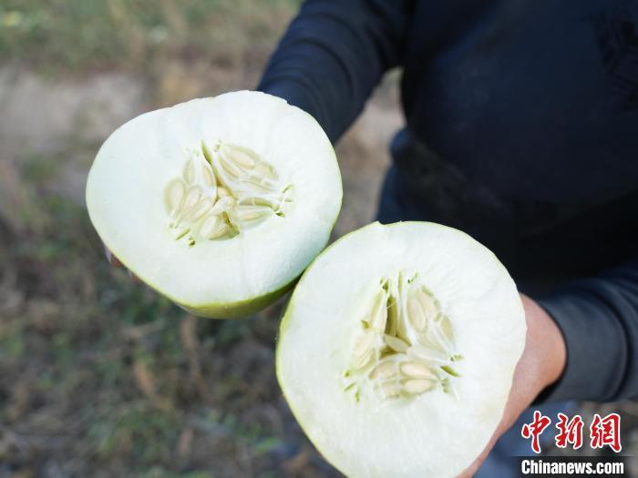 新疆种植什么赚钱_新疆种植致富_新疆种地种什么赚钱