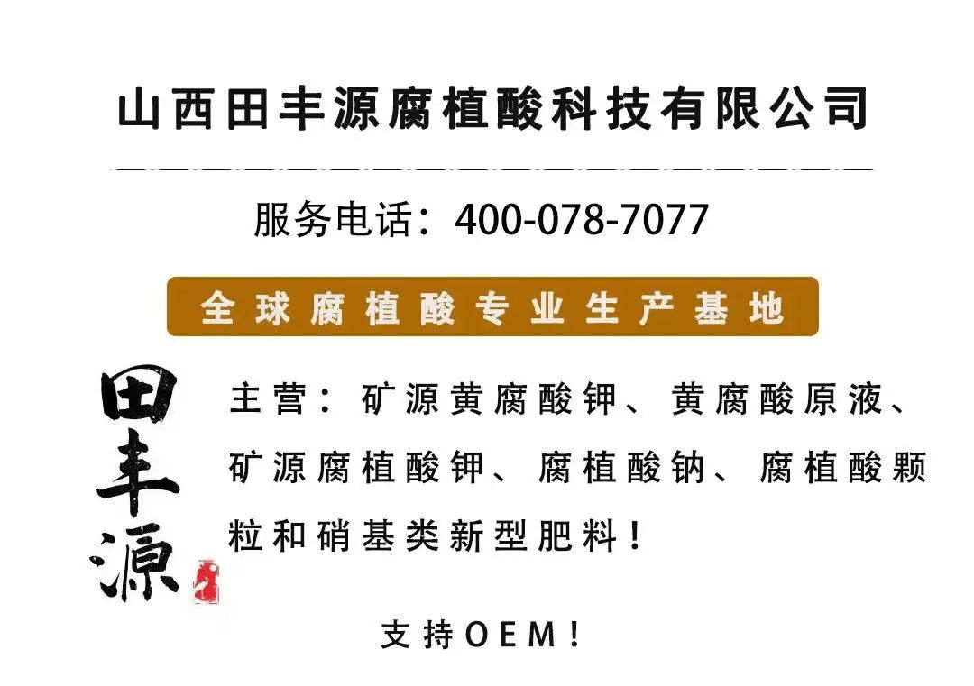 枸杞的种植技术方法_枸杞种植方法技术与管理_枸杞种植方法步骤