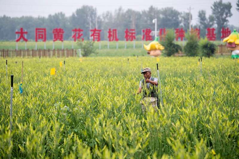 致富种植农民花的意义_致富种植农民花生_农民种植致富花