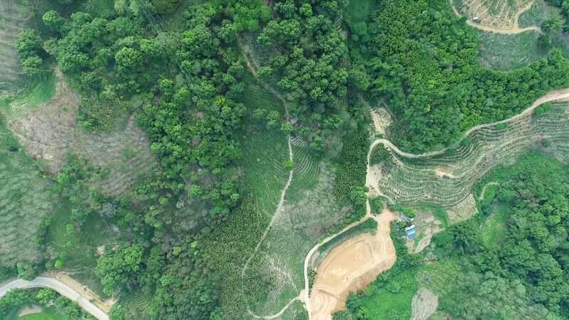 农民种植致富花_致富种植农民花生_致富种植农民花的意义