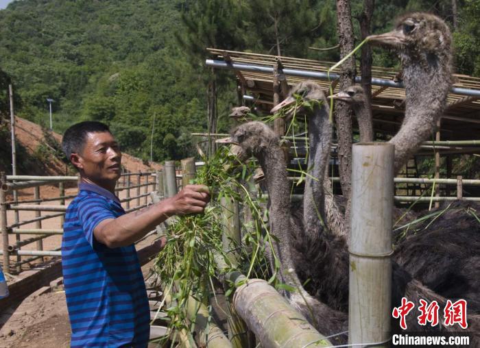 养殖设备行业怎么样_养殖行业致富设备_致富养殖设备行业怎么样